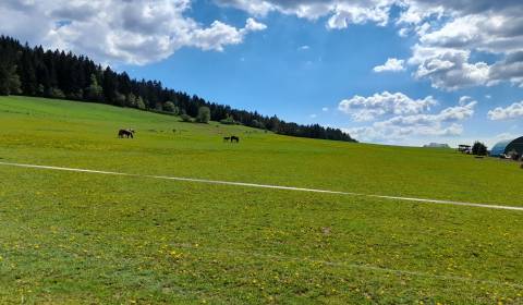 Landwirtsch. Grundstücke, Kunerad, zu verkaufen, Žilina, Slowakei