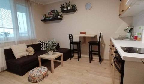 Garconniere, Jasovská, zu vermieten, Bratislava - Petržalka, Slowakei