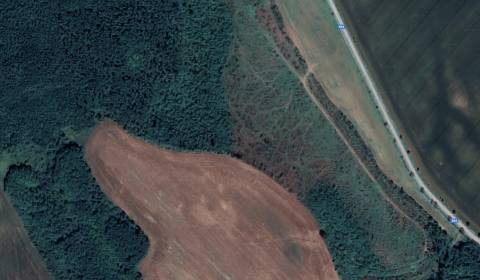 Landwirtsch. Grundstücke, Kubáňovo, zu verkaufen, Levice, Slowakei