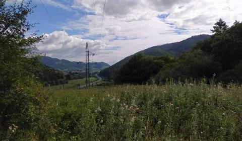 Baugrundstück Erholung, zu verkaufen, Dolný Kubín, Slowakei