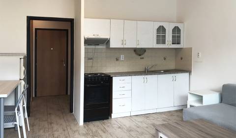 Garconniere, Blagoevova, zu vermieten, Bratislava - Petržalka, Slowake