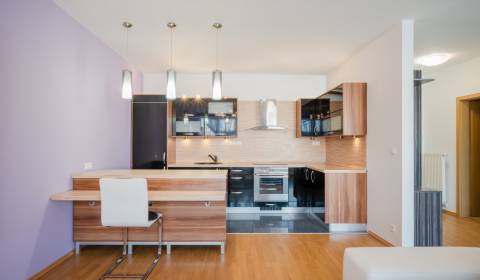 2-Zimmer-Wohnung, Opletalova, zu vermieten, Bratislava - Devínska Nová