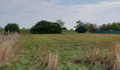 Baugrund, Marhuľová, zu verkaufen, Nové Zámky, Slowakei
