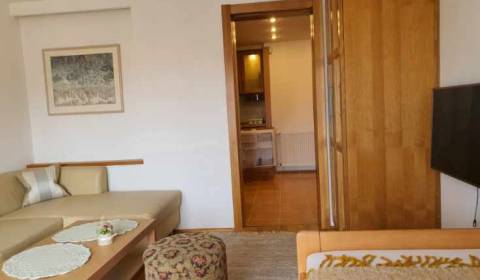 1-Zimmer-Wohnung, Dostojevského rad, zu vermieten, Bratislava - Staré