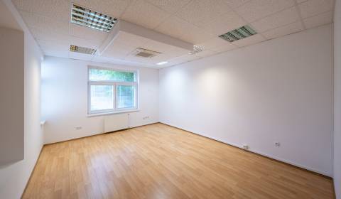 Büros, Hlavná, zu vermieten, Bratislava - Nové Mesto, Slowakei