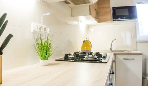 2-Zimmer-Wohnung, Česko - slovenskej armády, zu vermieten, Nitra, Slow