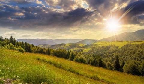 Landwirtsch. Grundstücke, Hlavná, zu verkaufen, Malacky, Slowakei