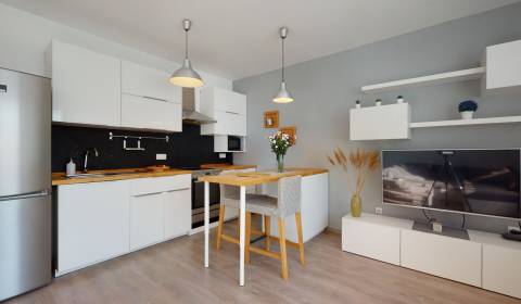 2-Zimmer-Wohnung, zu verkaufen, Dunajská Streda, Slowakei