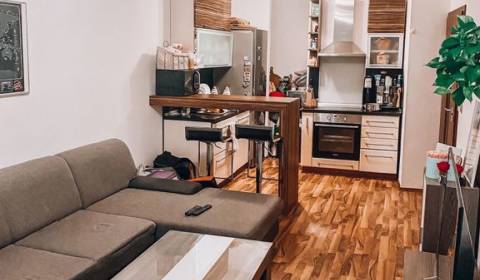 2-Zimmer-Wohnung, Kresánkova, zu vermieten, Bratislava - Karlova Ves,