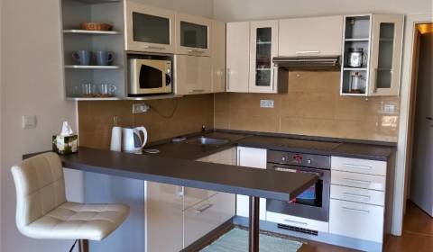 1-Zimmer-Wohnung, Sliačska, zu vermieten, Bratislava - Nové Mesto, Slo