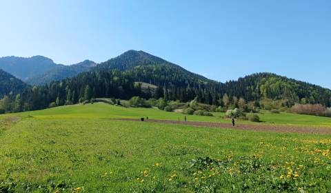 Kaufen Baugrund, Baugrund, Lazisko, Liptovský Mikuláš, Slowakei