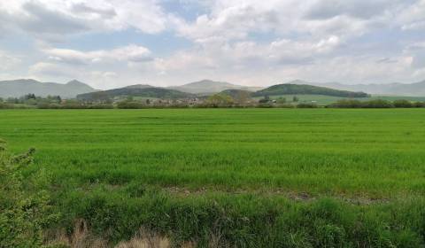 Kaufen landwirtsch. Grundstücke, landwirtsch. Grundstücke, Ležiachov, 