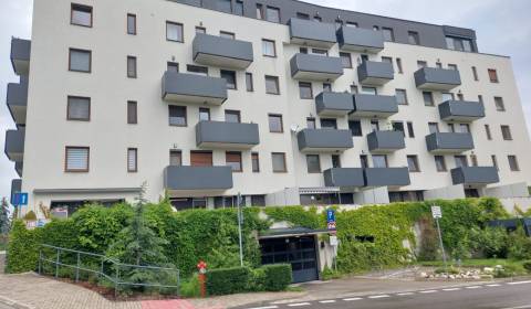 2-Zimmer-Wohnung, Staré grunty, zu verkaufen, Bratislava - Karlova Ves
