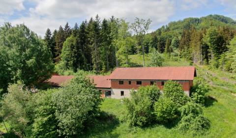 Kaufen Hotels und Pensionen, Malachov, Banská Bystrica, Slowakei