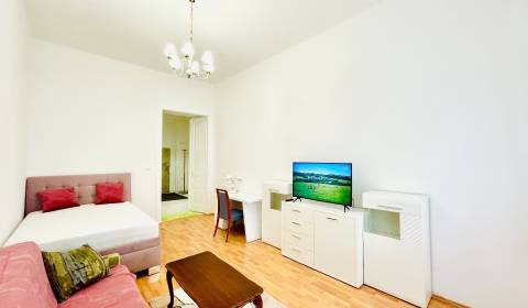 1-Zimmer-Wohnung, Sládkovičova, zu vermieten, Bratislava - Staré Mesto