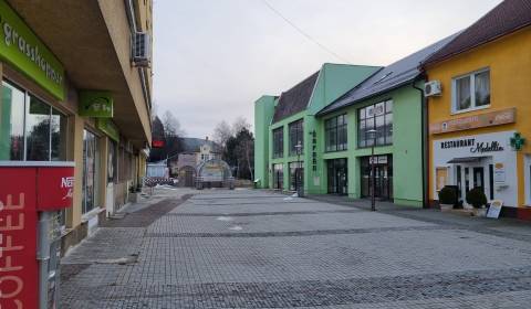 Geschäftsräumlichkeiten, zu verkaufen, Prievidza, Slowakei
