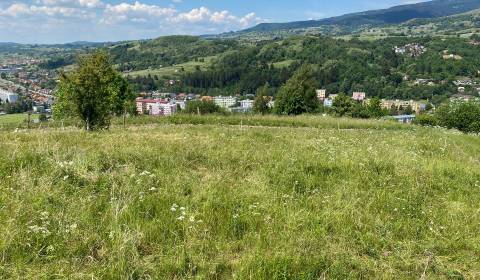 Kaufen Baugrundstück Erholung, Detva, Slowakei
