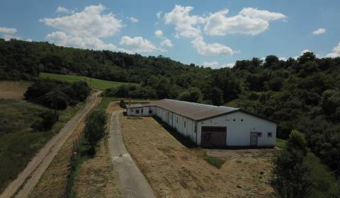 Kaufen Sonderimmobilien, Sonderimmobilien, Levice, Slowakei