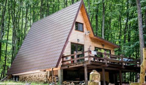 Ferienhaus, zu verkaufen, Pezinok, Slowakei