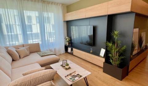 2-Zimmer-Wohnung, Tomislava P.Kolakoviča, zu vermieten, Bratislava - D