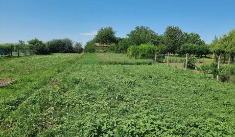 Einfamilienhaus, zu verkaufen, Komárno, Slowakei