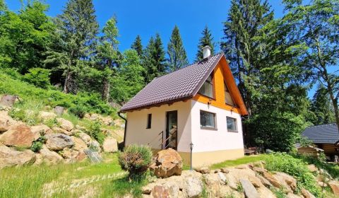 Kaufen Ferienhaus, Ferienhaus, Krpáčovo, Brezno, Slowakei