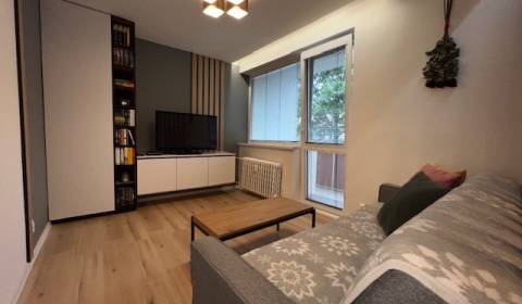 1-Zimmer-Wohnung, Hanácka, zu vermieten, Bratislava - Ružinov, Slowake