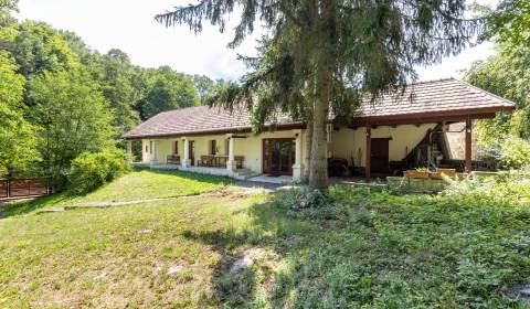 Einfamilienhaus, Nagy, zu verkaufen, Gönc, Ungarn