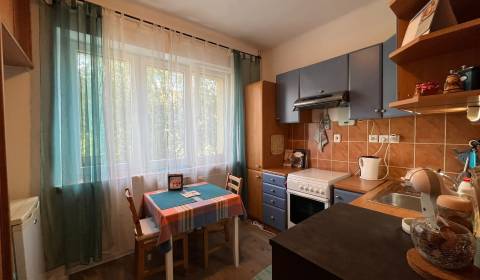 1-Zimmer-Wohnung, Slovinská, zu verkaufen, Bratislava - Ružinov, Slowa