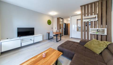 2-Zimmer-Wohnung, Ružová dolina, zu vermieten, Bratislava - Ružinov, S