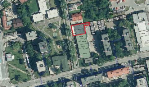 Geschäftsräumlichkeiten, Hviezdoslavova, zu verkaufen, Trebišov, Slowa