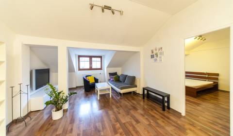 Mieten 2-Zimmer-Wohnung, 2-Zimmer-Wohnung, Grösslingova, Bratislava - 