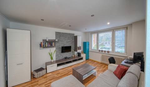 1-Zimmer-Wohnung, Orgovánová, zu verkaufen, Košice - Západ, Slowakei
