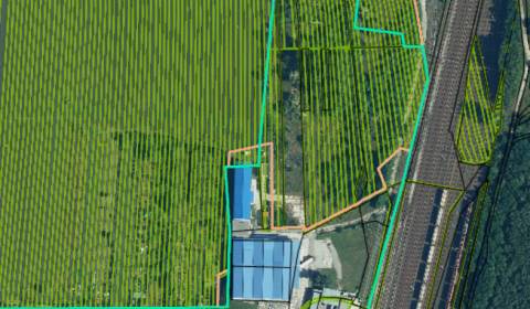 Landwirtsch. Grundstücke, Staničná, zu verkaufen, Malacky, Slowakei