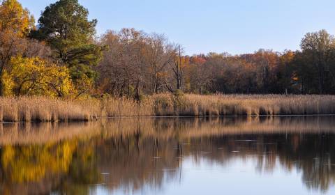 Kaufen Baugrund, Baugrund, Hlavná, Vranov nad Topľou, Slowakei