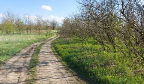 Kaufen Baugrund, Baugrund, Lesná, Komárno, Slowakei