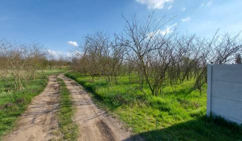 Kaufen Baugrund, Baugrund, Lesná, Komárno, Slowakei