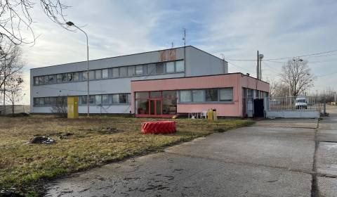 Büros, Nové Košariská, zu vermieten, Senec, Slowakei