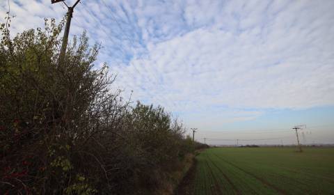 Kaufen landwirtsch. Grundstücke, landwirtsch. Grundstücke, Senec, Slow