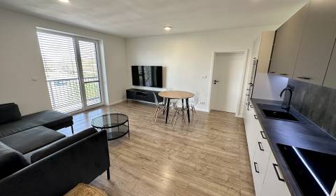 Mieten 2-Zimmer-Wohnung, 2-Zimmer-Wohnung, Janka Alexyho, Piešťany, Sl