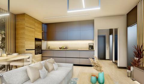 Kaufen 2-Zimmer-Wohnung, 2-Zimmer-Wohnung, Dohňany, Púchov, Slowakei