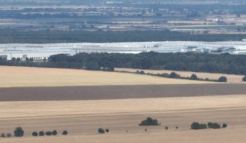 Kaufen landwirtsch. Grundstücke, Senecká, Senec, Slowakei