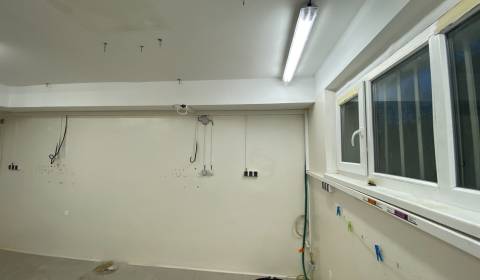 Mieten Geschäftsräumlichkeiten, Geschäftsräumlichkeiten, Haanova, Brat