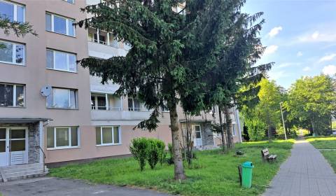 Kaufen 2-Zimmer-Wohnung, 2-Zimmer-Wohnung, Detva, Slowakei