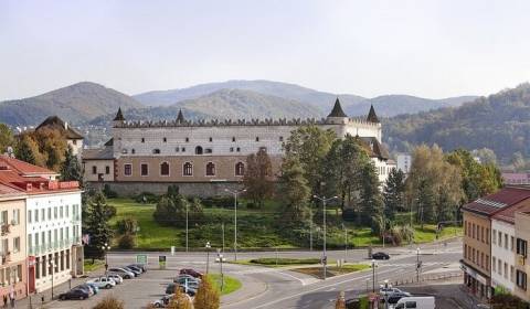 Suche 1-Zimmer-Wohnung, 1-Zimmer-Wohnung, Zvolen, Slowakei