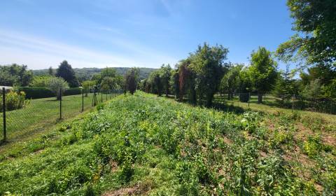 Sonniges Baugrundstück in Edelstal