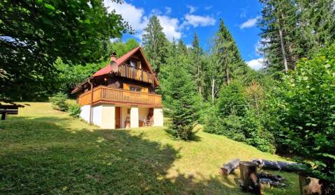 Kaufen Ferienhaus, Ferienhaus, Tále, Brezno, Slowakei