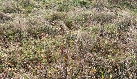 Kaufen Baugrund, Baugrund, Čadca, Slowakei