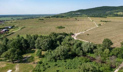 Kaufen 3-Zimmer-Wohnung, 3-Zimmer-Wohnung, Pezinok, Slowakei