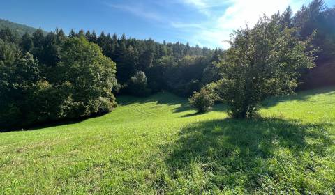 Kaufen Baugrundstück Erholung, Baugrundstück Erholung, Zbora, Púchov,